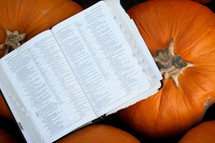 open Bible on a pumpkins 