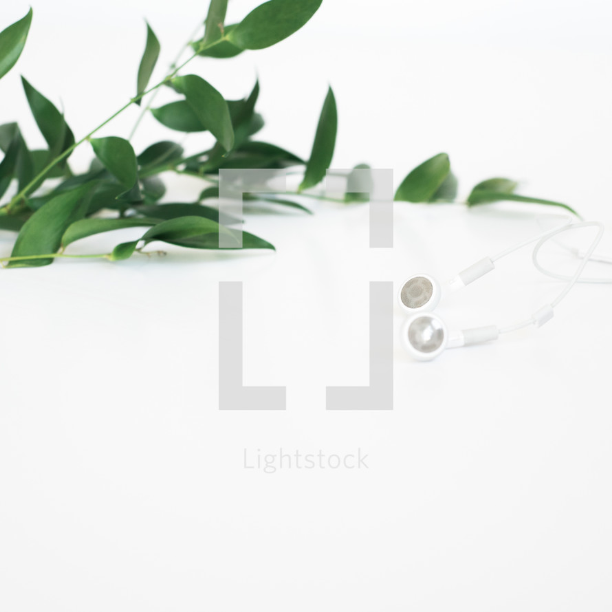 A sprig of green leaves and white earphones on a white background.