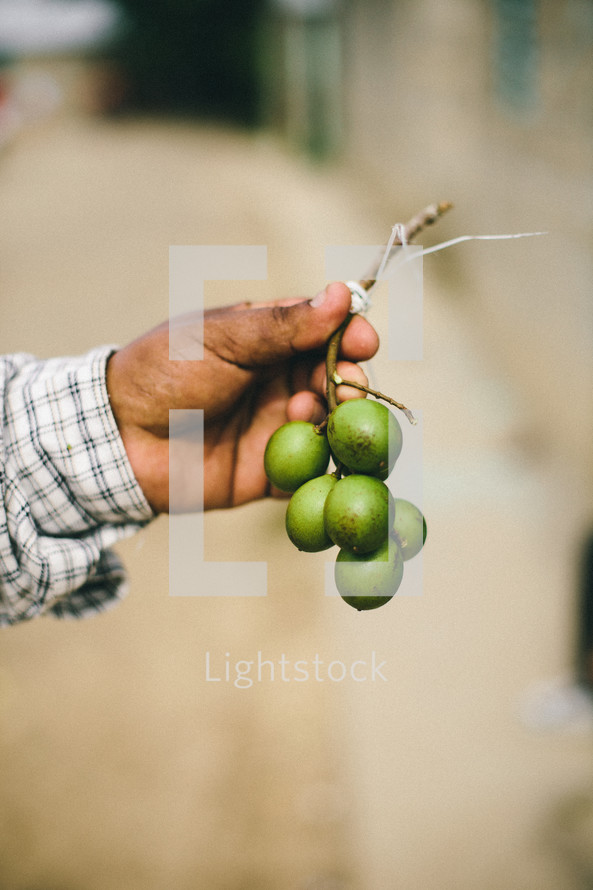 man holding coffee beans 