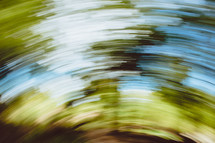 blur of a moving camera in a forest 
