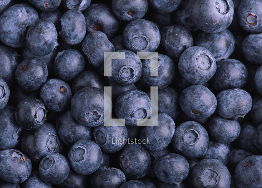 blueberries background 