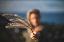 a woman holding out fuzzy grasses 