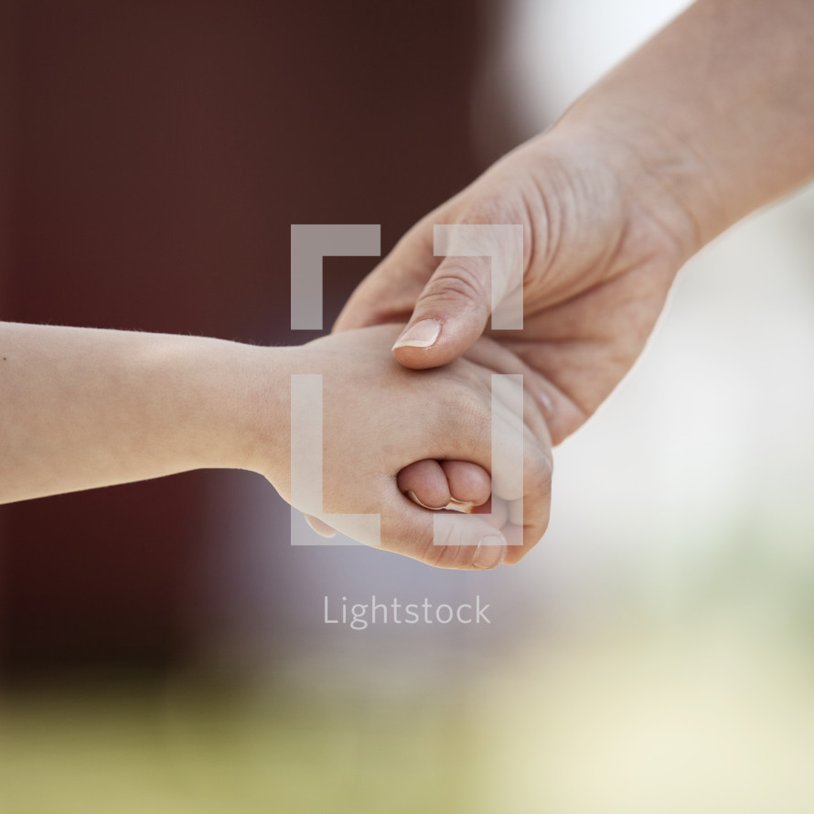 adult holding a child's hand 