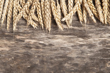 wheat grains placed on wood background