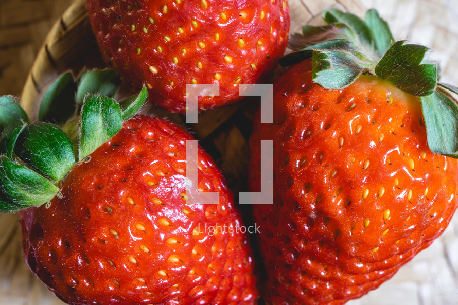 Fresh strawberries decorated on a straw hat. on a red picnic blanket.