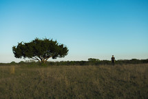 man and tree in a meadow 