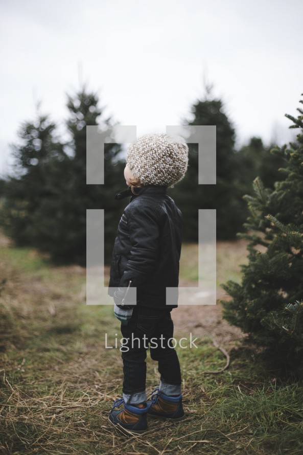a toddler boy standing in a Christmas tree lot 