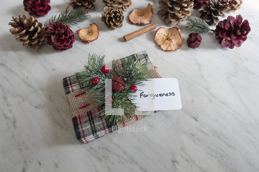 wrapped gift and tag labeled - forgiveness 