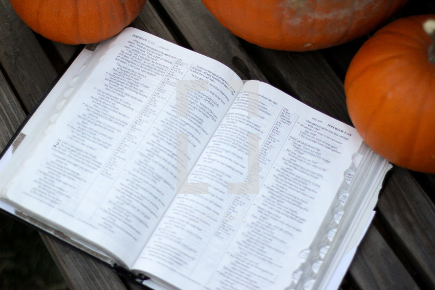 open Bible beside pumpkins 