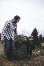 father and son picking out a Christmas tree 