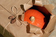 orange pumpkin wrapped in a box 