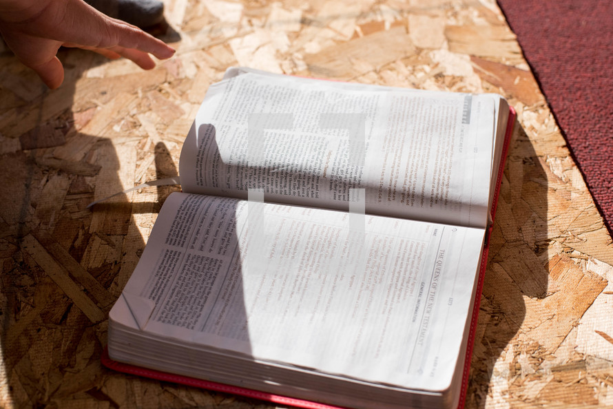 person reading a Bible 