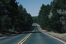 A highway through a pine forest.