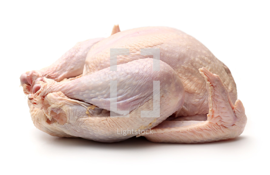uncooked turkey 
