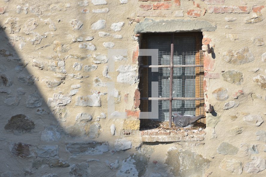 Pigeons in the window of the fortress. Travel concept. Italy, Europe