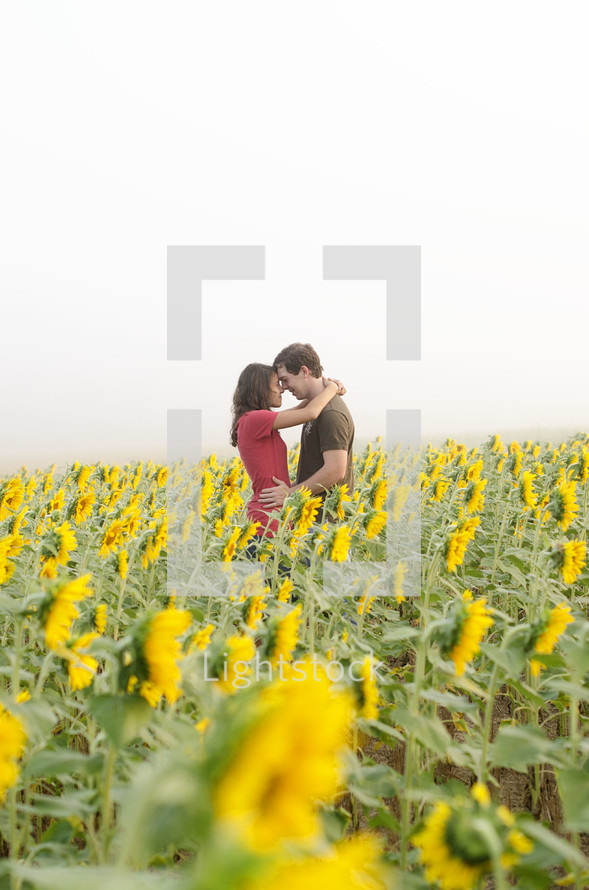 couple hugging in a field of sunflowers