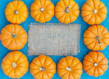 Autumn Thanksgiving Pumpkin Background with Copy Space