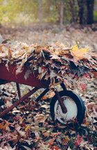 a wheelbarrow full of fall leaves 