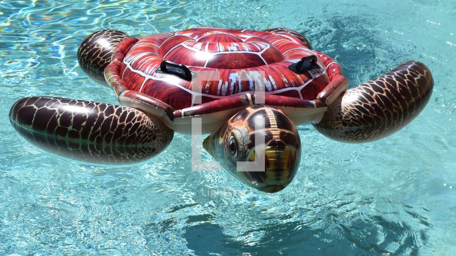 Pool party, sea turtle float in a swimming pool 