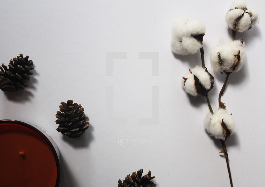 cotton branches, candle, and pine cone 