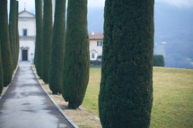 trees lining a driveway leading to a chateau 