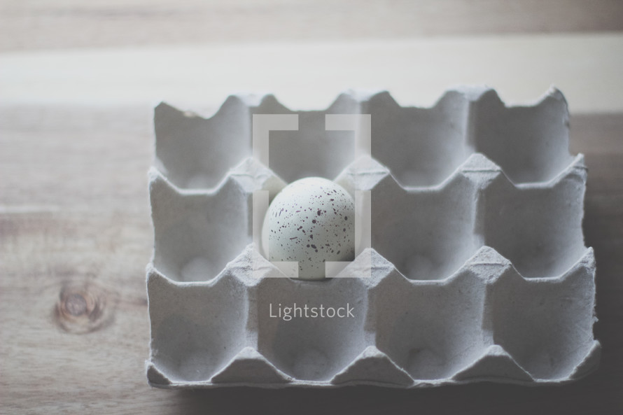 a Speckled egg in an egg carton 
