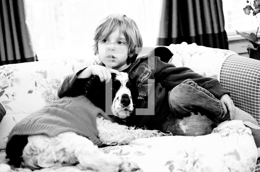 little boy and his dog