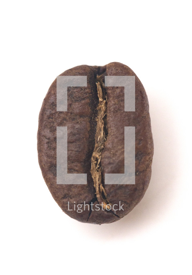 coffee bean macro 