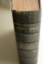 Family Bible spine 