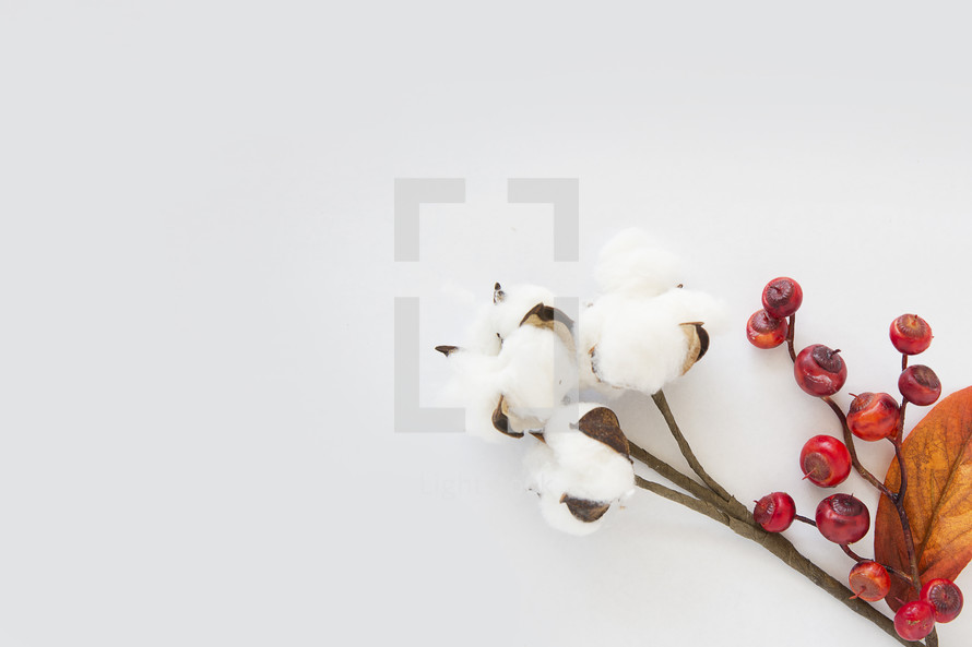 cotton, berries, and fall leaves 