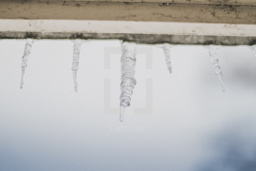 Icicles hanging from the roof
