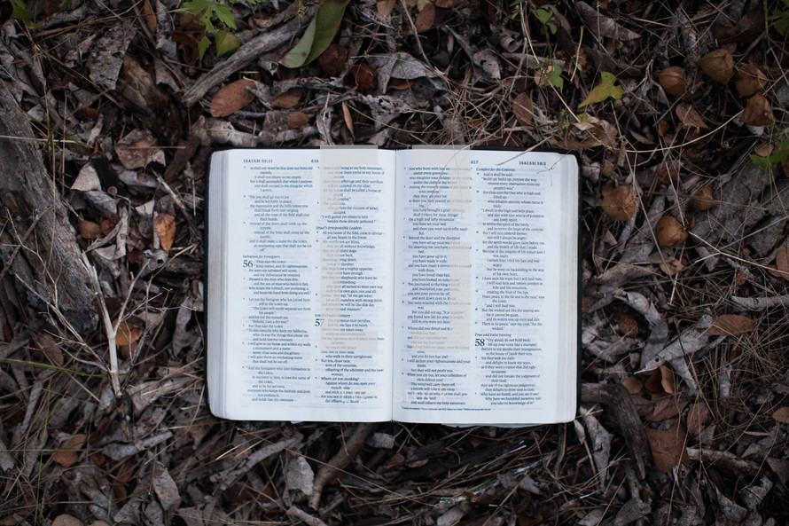 open Bible lying in fall leaves on the ground 