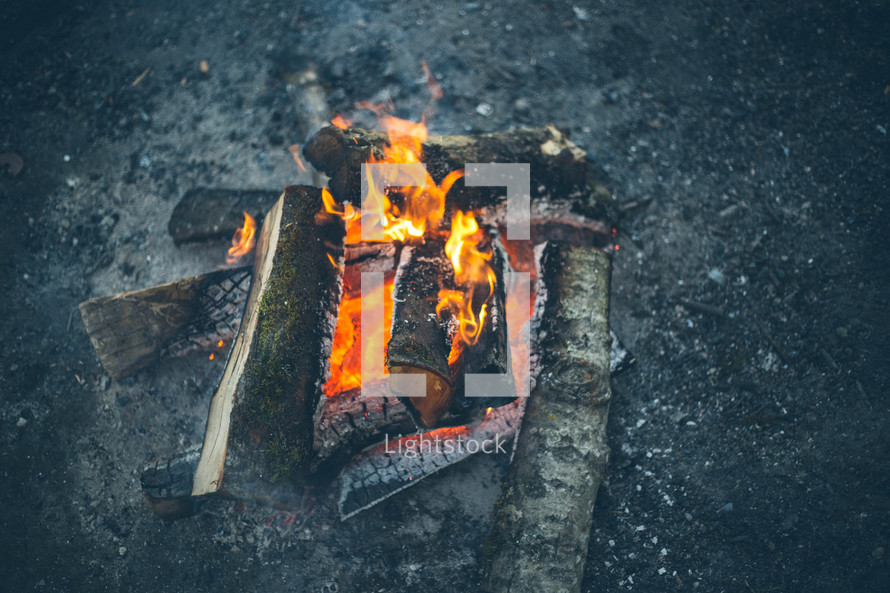 Burning log fire.