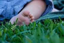infant foot in the grass