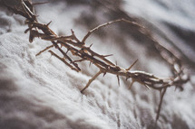 crown of thorns on gray cloth 