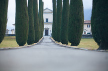 trees lining a driveway of a chateau 