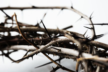 close up of a crown of braided thorns.