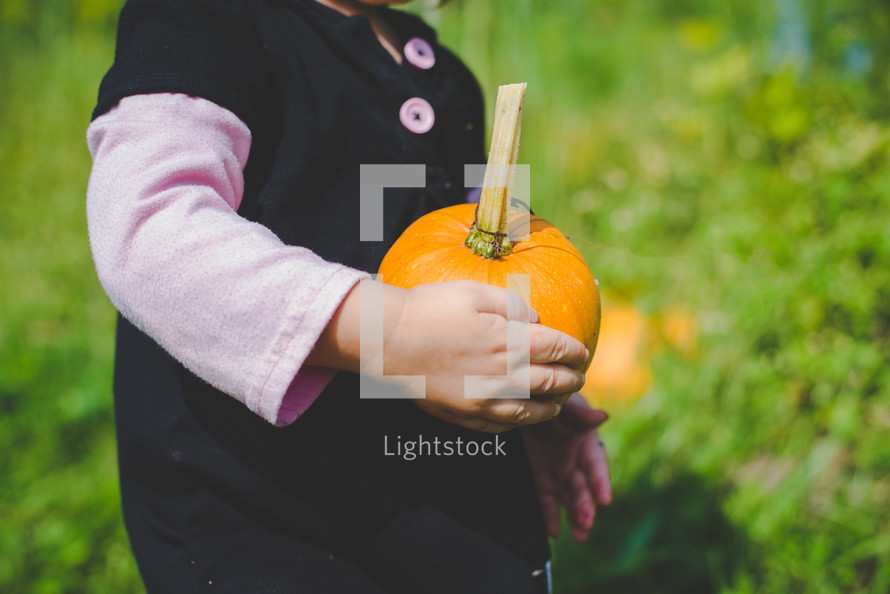 toddler girl carrying a pumpkin 