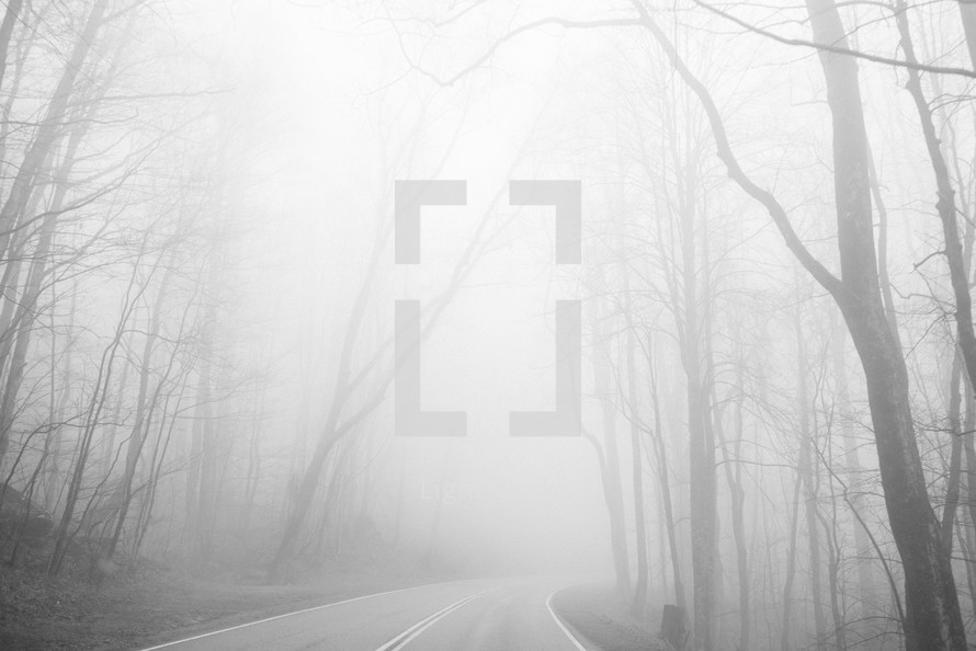 a road going through a foggy forest 