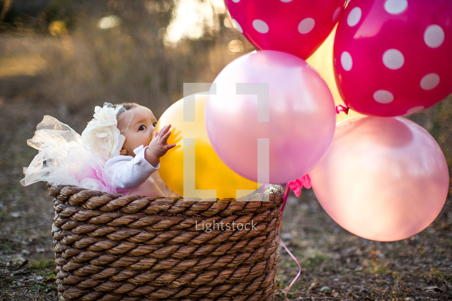 toddler girl in a tutu in a basket with balloons