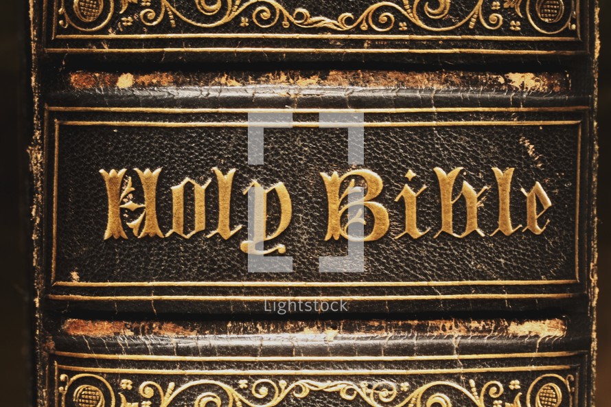 Gold embossed letters on the spine of a Holy Bible.