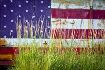 American Flag painted on a shed and tall grass