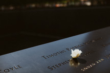 rose in the 9/11 memorial 