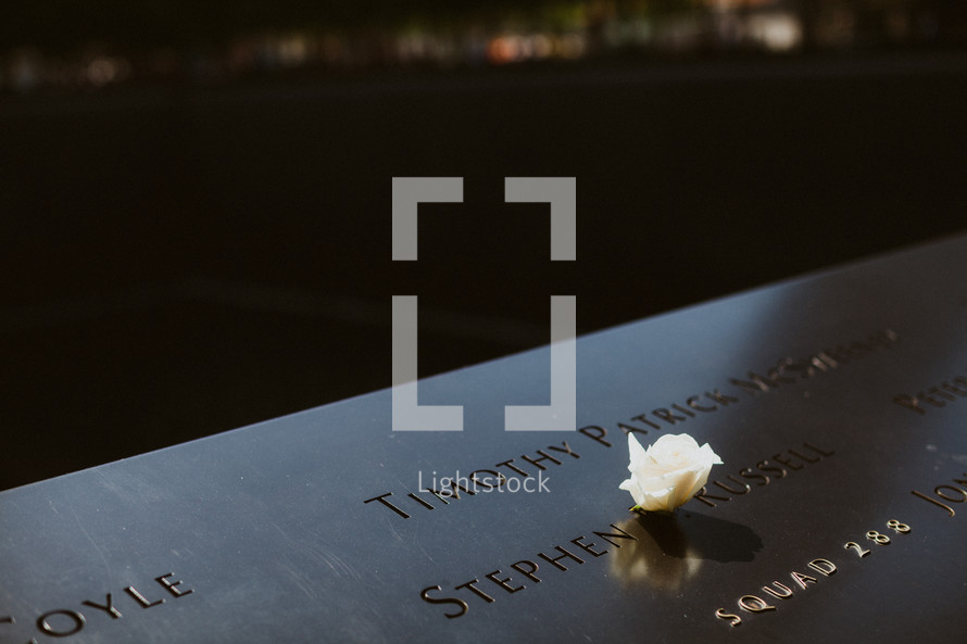 rose in the 9/11 memorial 