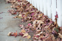 fall leaves lining a sidewalk 