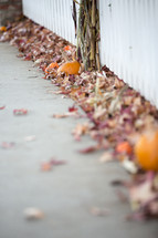 fall leaves lining a sidewalk 