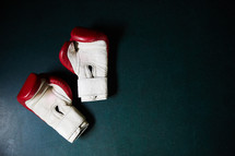boxing gloves on the mat