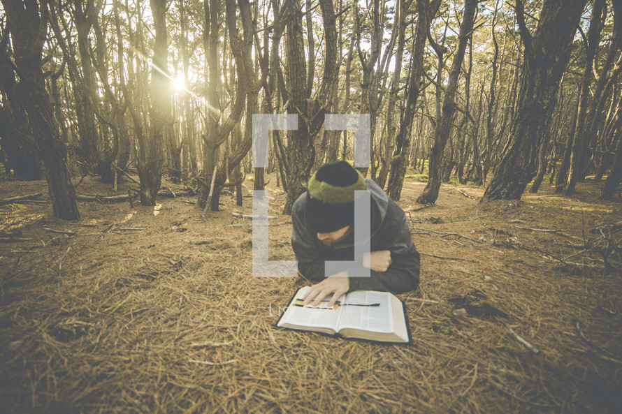 a man lying on the forest floor reading a Bible 