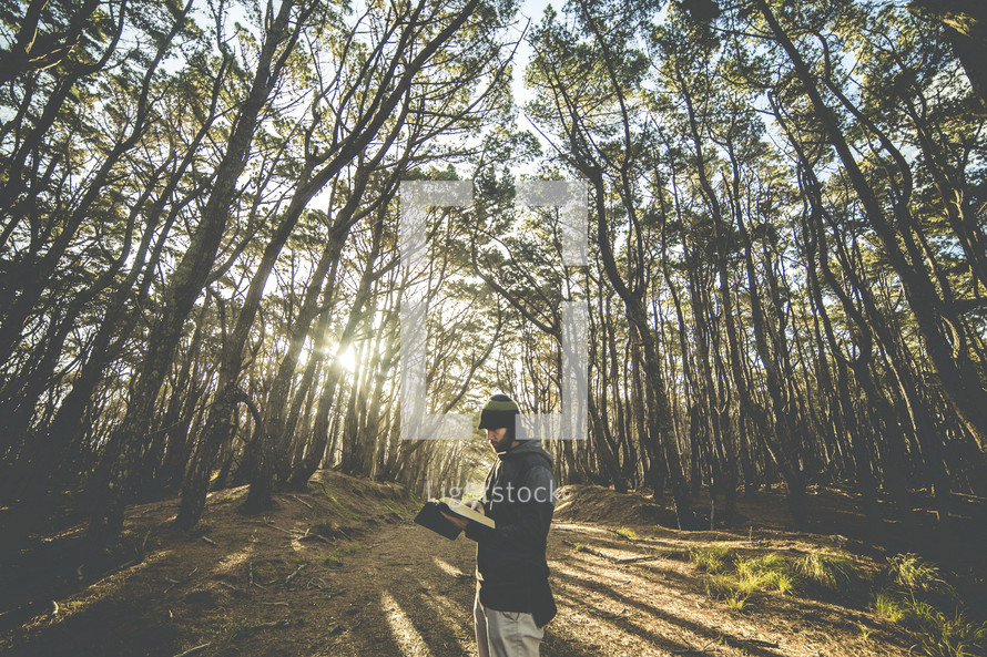 a man reading a Bible alone in a forest 