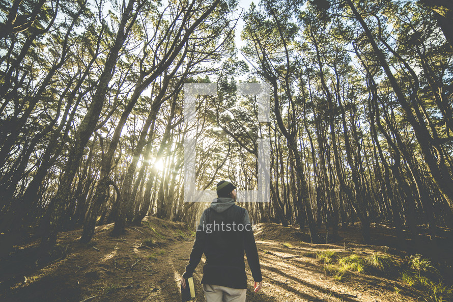 a man walking carrying a Bible in a forest 